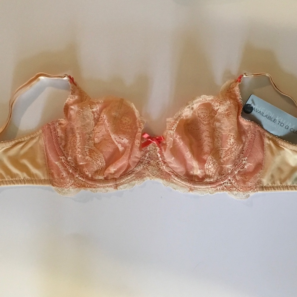 NWT Heidi Klimt intimates lace bra in Johana 32DD